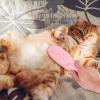 Frfik Dog Hair Removal Brush - Grooming Brush - Portable Cleaner view 2