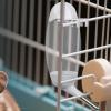 Leakproof Drip-Free Water Bottle for Dog Crates view 3
