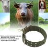 Yctze Sheep Collar - Durable Adjustable Collar for Livestock (L) view 3