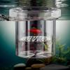 Floating Breeding Box for Aquarium view 2