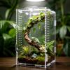 GTSEEMUU Faunarium - Insect Terrarium view 1