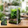 GTSEEMUU Faunarium - Insect Terrarium view 3