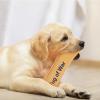 Dog Chew Toy with Handles view 3
