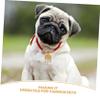 Adjustable Dog Collar for Small Dogs with Durable Lock view 3