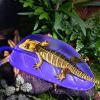Uqezagpa Artificial Climbing Plant for Reptiles view 4
