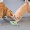 Fish Cat Toy, Fun Silicone Fish, Durable Chew Toy with Catnip view 4