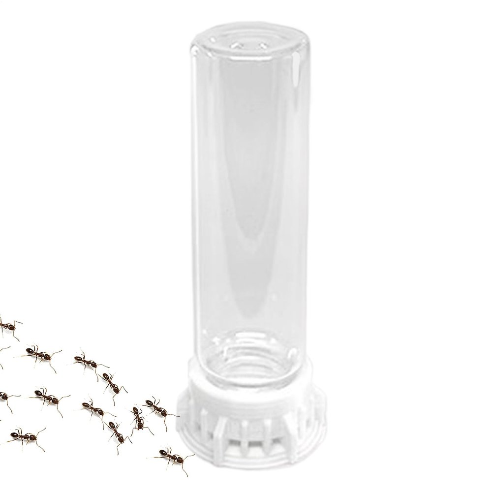 Ant Water Feeder Station