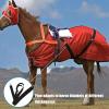Adjustable Horse Blanket Holder - Elastic Leg Straps view 2