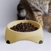 Cat Bowl | Anti-Vomiting Feeder view 3