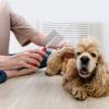 AOSAIXIS Pet Hair Comb view 4