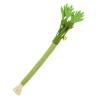 Catnip Toy | Interactive Celery Cat Toy Stick with Bell view 1