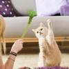 Generic Cat Silvervine Stick, Interactive Cat Chew Stick view 3