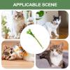 Generic Cat Silvervine Stick, Interactive Cat Chew Stick view 4