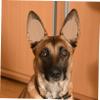 Glue-Free Puppy Ear Stand for Dogs view 2