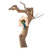 Warmhm Sturdy Budgie Nesting Box in a Simple Design view 4