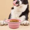Foldable Dog Bowl - Compact Silicone Water & Food Container view 3