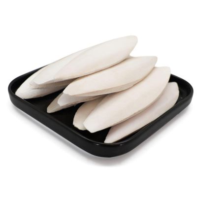 Cuttlebone for Birds - Natural Calcium Bone