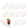 Cuttlebone for Birds - Natural Calcium Bone view 3