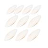 Cuttlebone for Birds - Natural Calcium Bone view 4