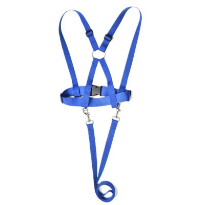 Children’s Horse Harness Toy with Lead Rope