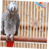 FUTUREORYY Rotating Bird Feeder with Fruit Fork view 4