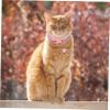 FUTUREORYY 5-Pack Reflective Cat Collars with Bell view 2