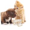 PENIKOKO Elevated Cat Food and Water Bowl Set with Stand view 3