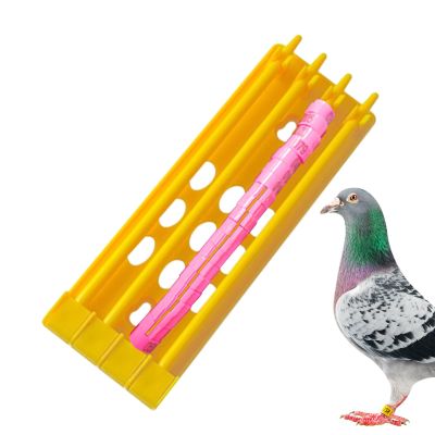 Bird Ring Stand - Parrot Leg Band Holder