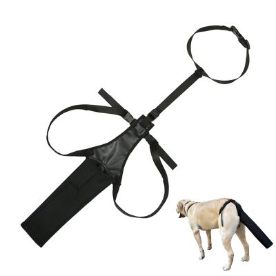Adjustable Dog Tail Cover for Wound Protection