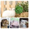 Bunny Hay Holder Ball, Metal Hanging Feeder Toy view 4