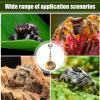 Magnetic Spider Habitat - Natural Pumpkin Hideout for Jumping Spiders view 4