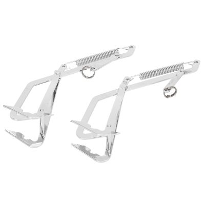 Dilwe Stainless Steel Crab Grabber