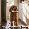 Chew Toy for Dogs and Puppies view 2
