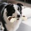 Chew Toy for Dogs and Puppies view 3