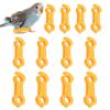 Chick Splay-Leg Splint, 12-Piece Lightweight Support Braces view 1