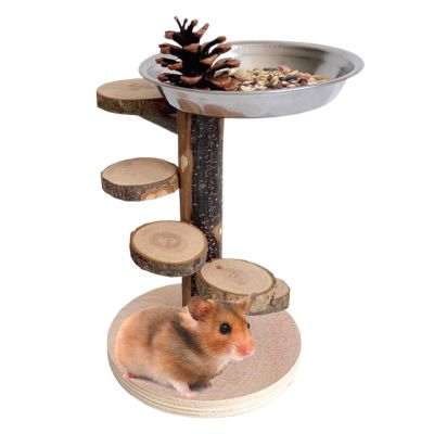 Hamster Ramp, Climbing Ramp and Toy Ladder for Small Rodents with Stainless Steel Bowl