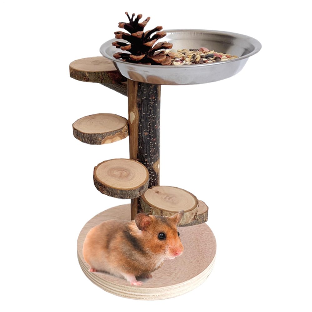 Hamster Ramp, Climbing Ramp and Toy Ladder for Small Rodents with Stainless Steel Bowl