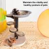 Hamster Ramp, Climbing Ramp and Toy Ladder for Small Rodents with Stainless Steel Bowl view 2