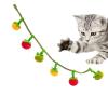 Catnip Toy for Indoor Cats view 1