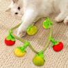 Catnip Toy for Indoor Cats view 3