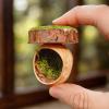 Spider Hide | Handmade Magnetic Accessory for Reptiles view 3