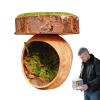 Magnetic Spider Hide, Handmade Habitat for Tarantulas, Amphibians and Small Pets view 1
