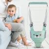 Baby Walking Harness and Learning Support | Breathable Training Aid for Ages 6–36 Months view 3