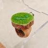 Fr Springspinnen - Terrarium Hide for Reptiles view 3