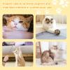 3-Tier Cat Ball Track Toy view 4