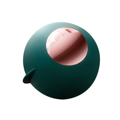 TOYANDONA Portable Lint Remover