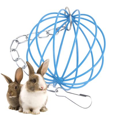 Hanging Hay Feeder for Small Pets