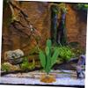 TOYANDONA Artificial Reptile Plant view 3