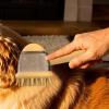 Pet Bath Brush for Cats view 3