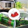 Magnetic Aquarium Glass Cleaner with Double-Sided Scraper view 4
